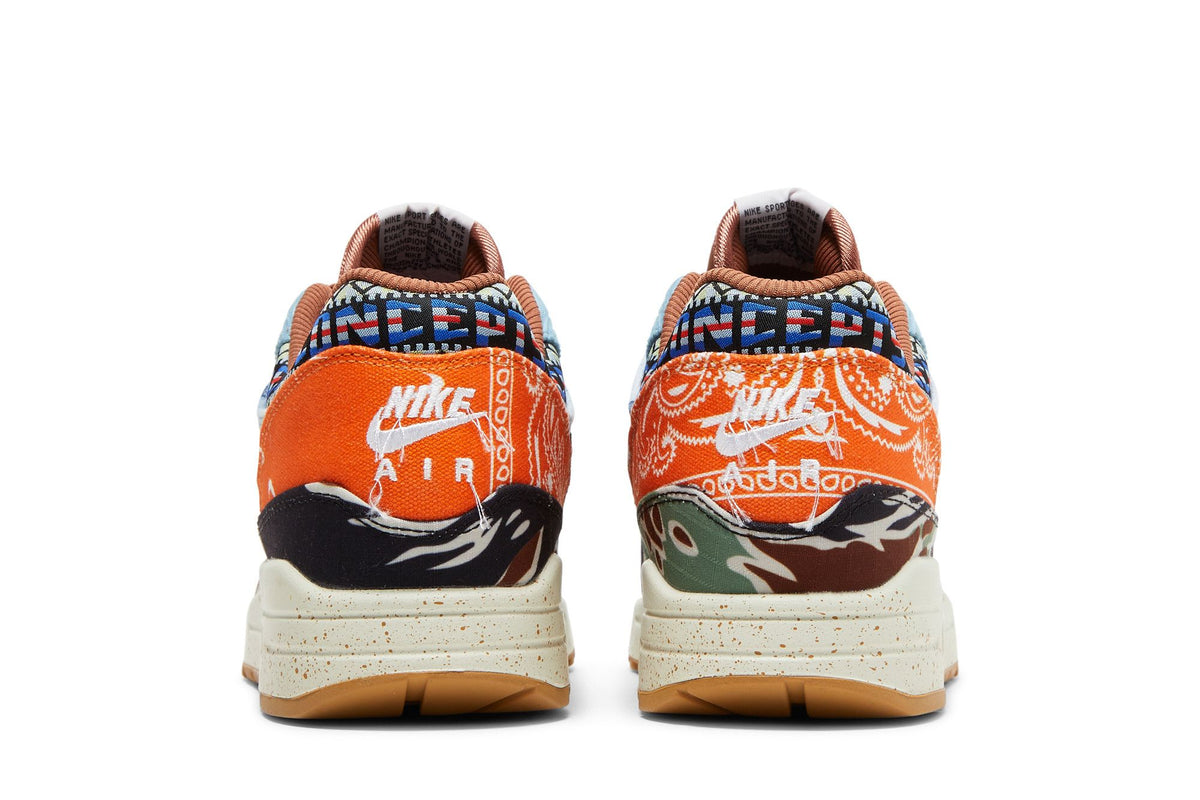 Nike Air Max 1 SP Concepts Heavy