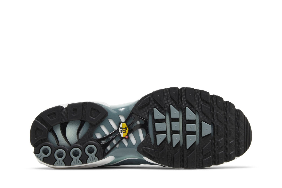 Nike Air Max Plus Origins Waterway