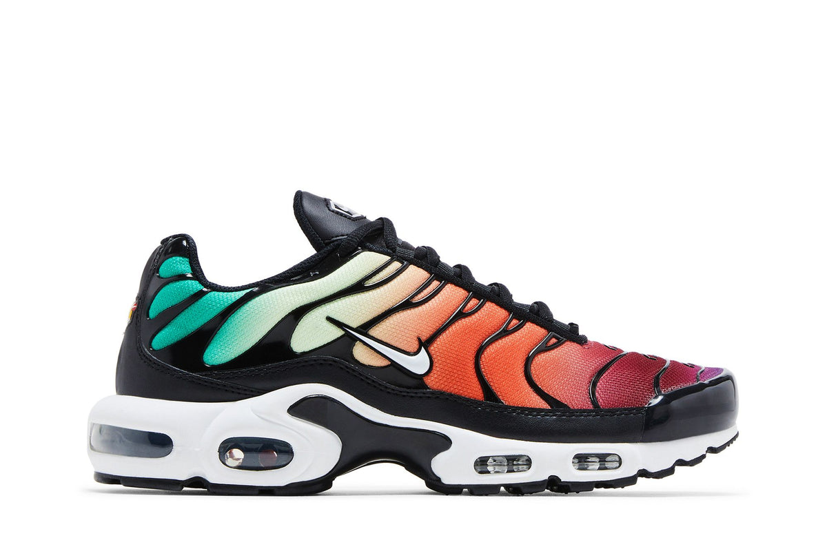Nike Air Max Plus Rainbow