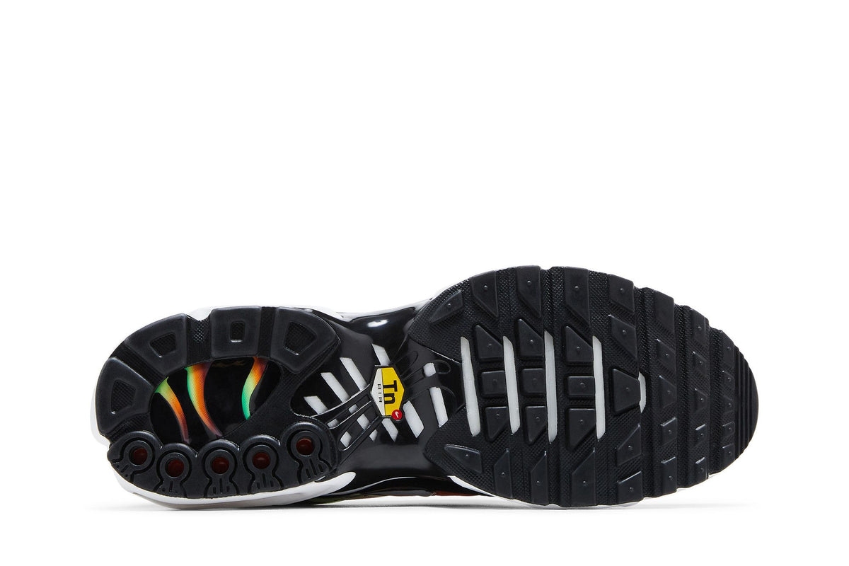 Nike Air Max Plus Rainbow