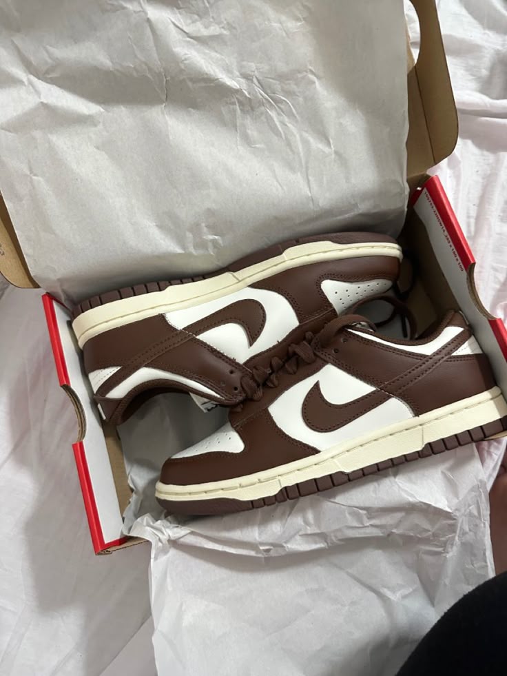 Comment Reconnaître une Vraie Nike Dunk Low ? Le Guide Expert (2026)