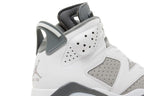 Air Jordan Air Jordan 6 Cool Grey - 384665-100 / CT8529-100