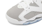 Air Jordan Air Jordan 6 Cool Grey - 384665-100 / CT8529-100