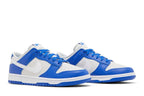Nike Dunk Low Kentucky Alternate - FN3416-001