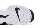 Nike Air DT Max '96 Black White (2024)