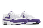Nike Air Max 1 SC Field Purple - DZ4549-101