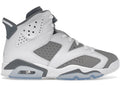 Air Jordan Air Jordan 6 Cool Grey - 384665-100 / CT8529-100