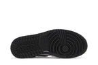 Air Jordan 1 Retro High OG Twist 2.0