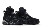 Air Jordan 6 Retro Cap and Gown