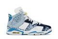 Air Jordan 6 Retro Washed Denim (2022)