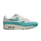 Nike Air Max 1 Dusty Cactus - DZ2628-107
