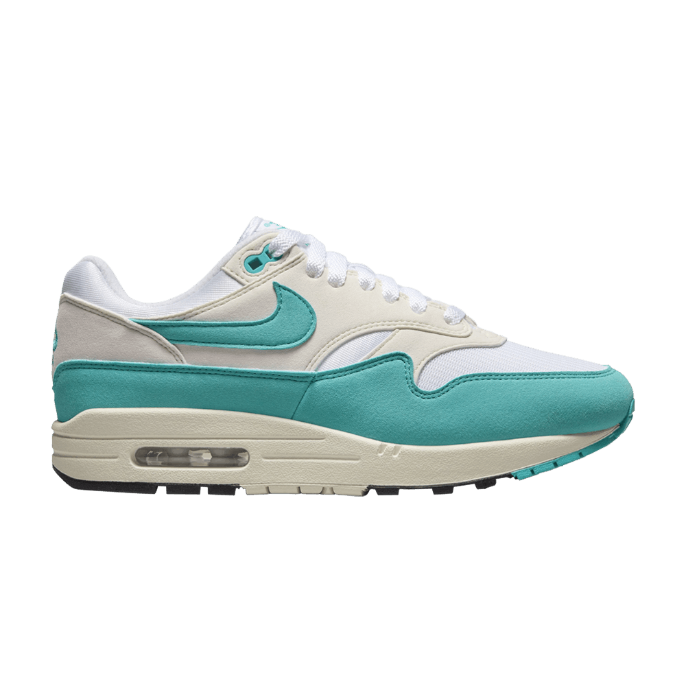 Nike Air Max 1 Dusty Cactus - DZ2628-107