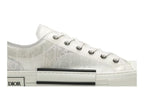 Dior B23 Low Top Oblique
