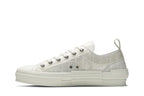 Dior B23 Low Top Oblique