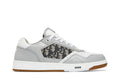Dior B27 Low Gray White
