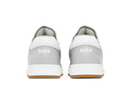 Dior B27 Low Gray White