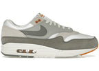 Nike Air Max 1 Light Iron Ore Flat Pewter - IB1492-121
