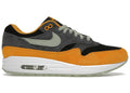 Nike Air Max 1 PRM Duck Anthracite - DZ0482-001