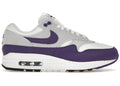 Nike Air Max 1 SC Field Purple - DZ4549-101