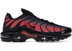 Nike Air Max Plus Bred Reflective - DZ4507-600