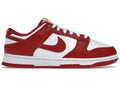 Nike Dunk Low USC - DD1391-602