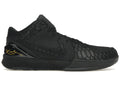Nike Kobe 4 Protro Black Mamba - FQ3544-001
