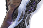 Nike Air Foamposite One Eggplant (2024)