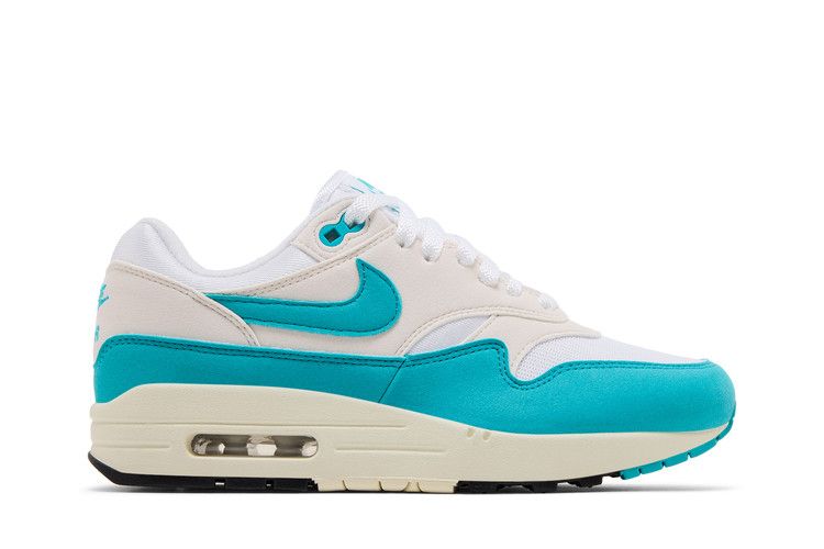 Nike Air Max 1 Dusty Cactus