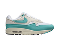 Nike Air Max 1 Dusty Cactus