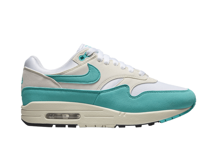 Nike Air Max 1 Dusty Cactus