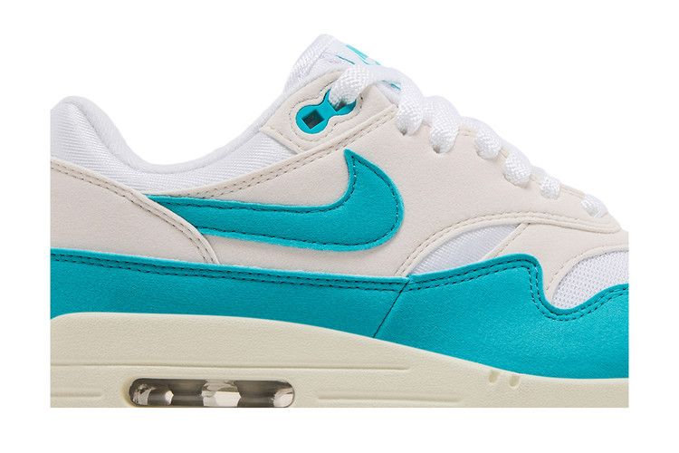 Nike Air Max 1 Dusty Cactus