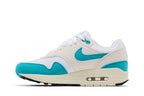 Nike Air Max 1 Dusty Cactus