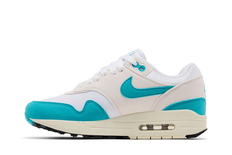 Nike Air Max 1 Dusty Cactus