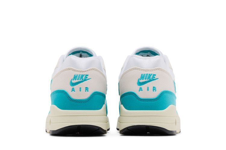 Nike Air Max 1 Dusty Cactus