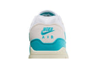 Nike Air Max 1 Dusty Cactus