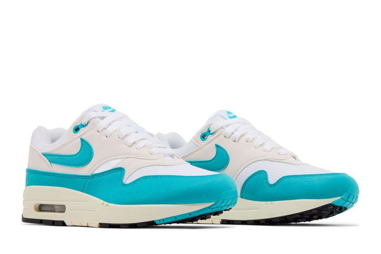 Nike Air Max 1 Dusty Cactus