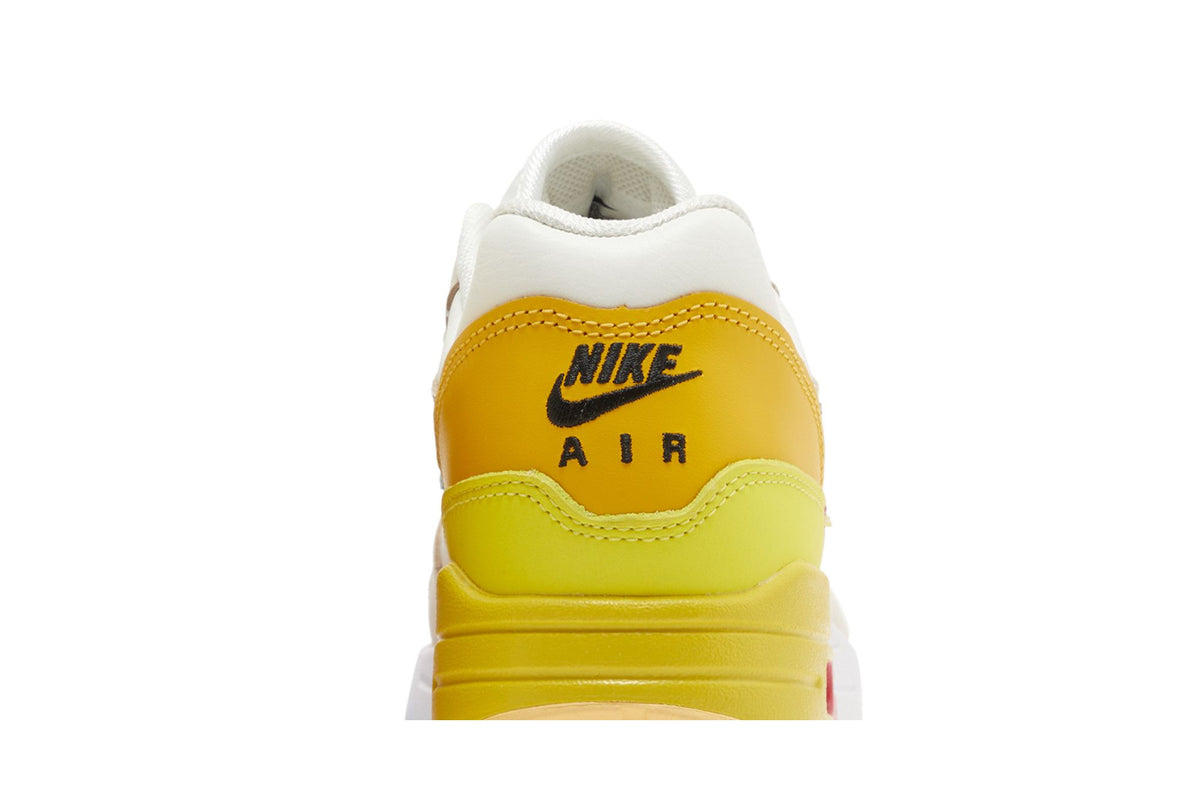 Nike Air Max 1 Multi-Color
