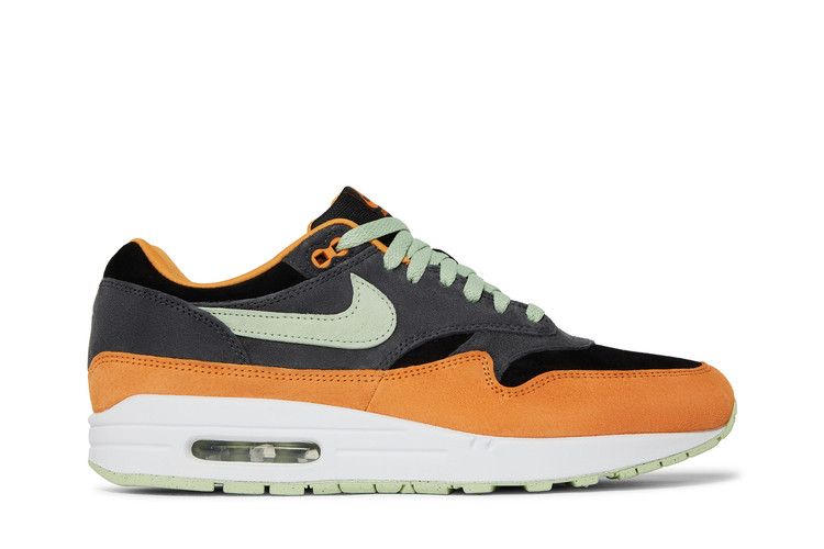 Nike Air Max 1 PRM Duck Anthracite