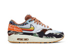 Nike Air Max 1 SP Concepts Heavy