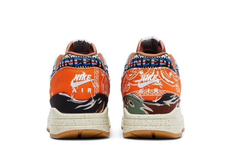 Nike Air Max 1 SP Concepts Heavy