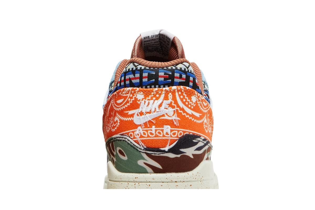 Nike Air Max 1 SP Concepts Heavy