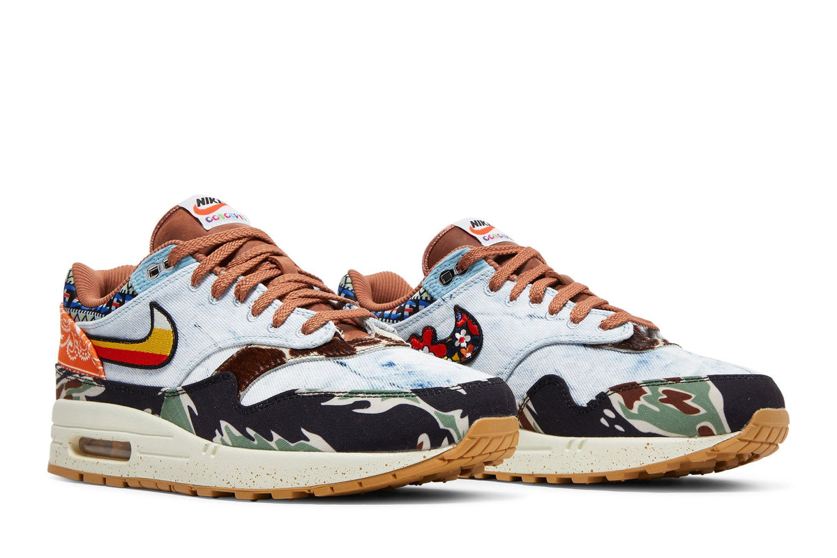 Nike Air Max 1 SP Concepts Heavy