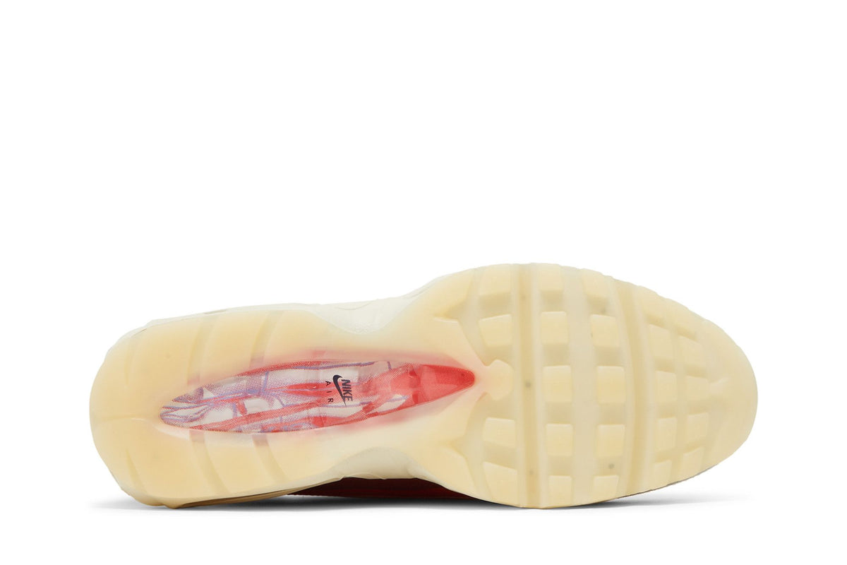 Nike Air Max 95 Anatomy of Air