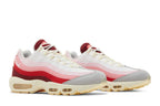 Nike Air Max 95 Anatomy of Air