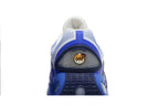 Nike Air Max DN Platinum Royal Blue