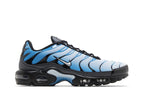 Nike Air Max Plus Blue Gradient