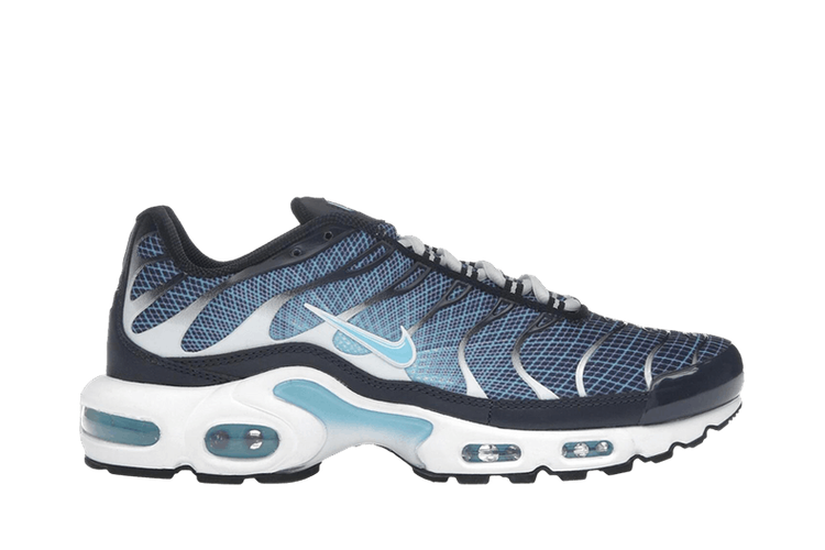 Nike Air Max Plus Dark Obsidian