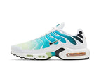 Nike Air Max Plus Dusty Cactus Barely Volt