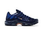 Nike Air Max Plus French Football Federation