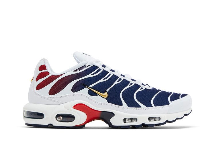 Nike Air Max Plus PSG
